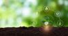 The Lysobacter factor: Japanese scientists uncover microbial clues behind disease-resistant organic farmland