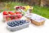 Niab Research Hours launched at Fruit Focus 2026