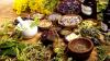 National Ayurveda Day 2026: 5 Ayurvedic Ingredients And Their Traditional Wellness Benefits To Know