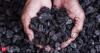 Coal India production drops 7.5 pc in Q1