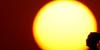 Kansas City heatwave: What you need to know to stay safe this week
