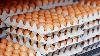 Mississippi’s Cal-Maine Foods reaches settlement over manipulated egg price allegations