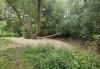 Father’s pollution fears as son falls violently ill after cooling dip in River Stort