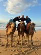 Adventure Athletes Take on the Waves