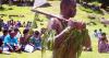 Cannibalism not just bad news for eaten, research says