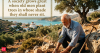 Greek Proverb of the Day: 'A society grows great when old men...'-A timeless lesson on legacy, selflessness, and building a better future