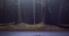 Music Review: David Bird – ‘Hinterlands’