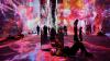 Art Review: ‘Machine Dreams: Rainforest’