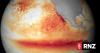 El Niño officially declared in New Zealand