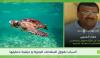 Tunisia: sea turtles in peak nesting season as specialist calls for vigilance on beaches [Video]