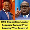 DRC Opposition Leader Delly Sesanga Banned from Leaving the Country