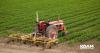 Local food businesses in rural areas can now apply for grant funding