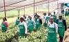 One Acre Fund Launches Modern Kigali Tree Nursery to Strengthen Climate Resilience