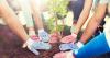 Rooted in Cheyenne to plant over 100 trees this weekend