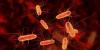 Connecticut among 17 states reporting intestinal parasite cases, CDC says
