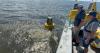 Company pulls out of Lake Maurepas project; parish officials react