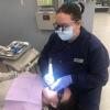 Oregon Tech receives grant to support dental hygiene and medical imaging programs