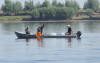 10,000 Russian Sturgeon Released into the Danube Near Gomotartsi As Part of Efforts to Restore the Critically Endangered Species