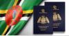 Exclusive report: New study raises fresh questions about security vetting in Caribbean Citizenship by Investment programmes