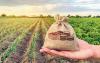 Agriculture sector provides 70% of livelihoods, contributes 18% to J&K GDP: Government