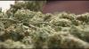 Pillen signs off on medical marijuana rules approved by Nebraska attorney general