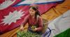 Nepali Tea Exports Resume to India After Two-Month Halt