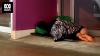 Exhibition shines light on Australian women without housing