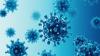 The catchy nature of viral names