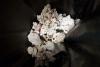 Coral and clam haul warning for holidaymakers