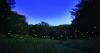 We could learn a lot about energy from a firefly