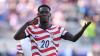 USMNT player ratings from emotional World Cup win over Bosnia