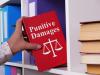Insurer Says Virginia ‘Intentional’ Acts Law Blocks $10M Punitive Damages Claim