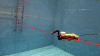 Ocean planet exploration: New University of Rhode Island Ocean Robotics Laboratory