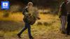 Wettest year on record sees controversial and highly flammable weed 'explode'
