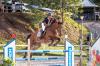 Showjumping competition, hurricane fund-raising weekend for St Ann Polo Club