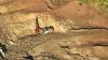 Lindian fires first blast as Malawian rare earths mining kicks off