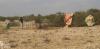 Vulnerable Mudug families left behind in drought-hit village