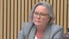 Australia: Senate committee whitewashes Labor’s assault on NDIS disability support