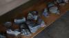 US company EVelution Energy starts construction of solar facility that will power massive ...