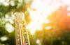 Climate Disaster Preparedness Requires All Hands on Deck