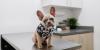 Kahns Announce Retirement From Warsaw Veterinary Practice