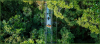 Costa Rica: Monteverde unveils the country’s first-ever glass suspension bridge