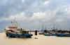 Suriname drift gillnet fishery cleared to export products to US