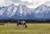 Zero State Income Tax and $900,000: Here’s How to Retire to Wyoming at 62