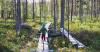 Finland tells parents: Take your toddler to the forest