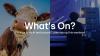What's On? 2–5 July: 7 things to do in and around Luxembourg this weekend
