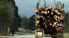 Drought changes Arkansas timber market, raises forest health concerns