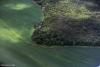 Targeted conservation in Brazil could help protect the Amazon’s flying rivers