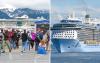 “It’s Crushed Our Small Town”: Alaska Port to Hold Memorial for Whale Struck by Cruise Ship