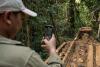 Illegal timber imports from Cambodia, Laos skirt Vietnam safeguards, report reveals